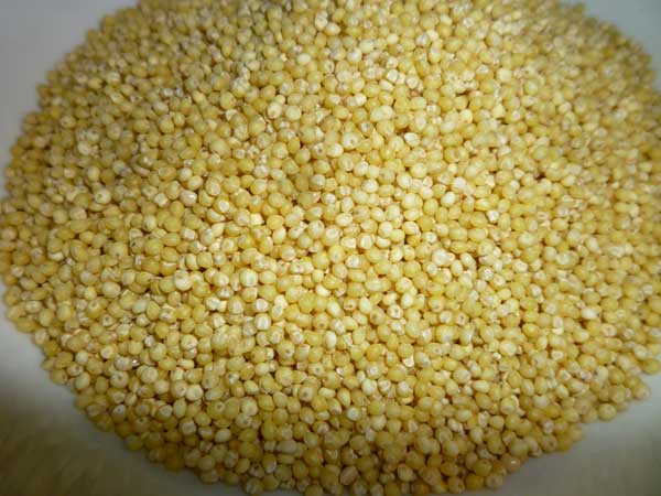 What Is Millet