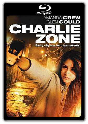 Charlie Zone (2011) BRRip 650MB