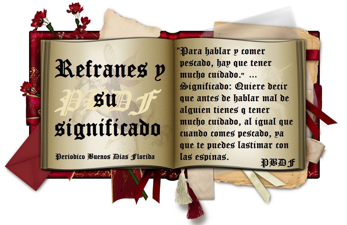 Frases, pensamientos y reflexiones + bellas imagenes