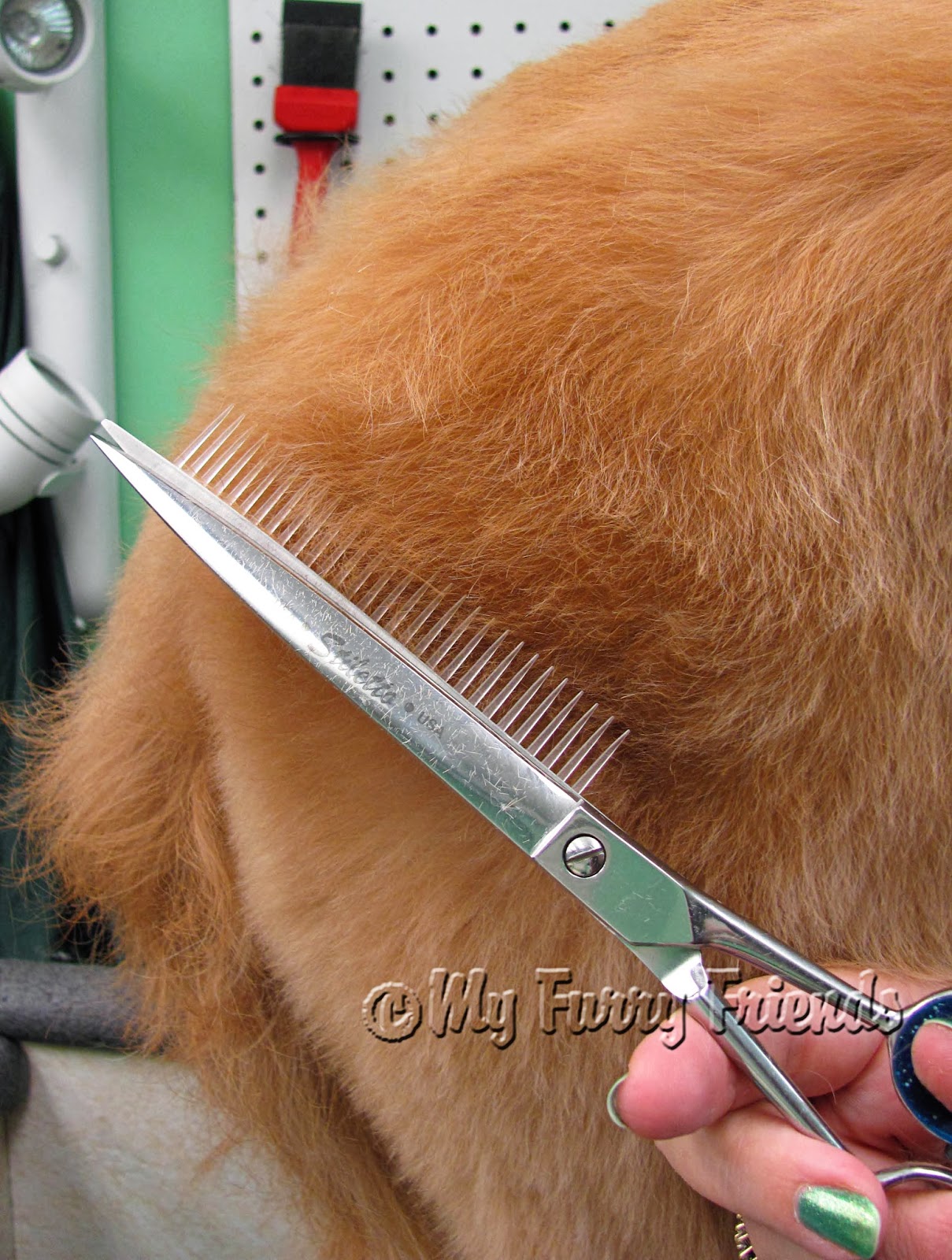 Pet Grooming The Good, The Bad, & The Furry Product Review...Scissor Comb