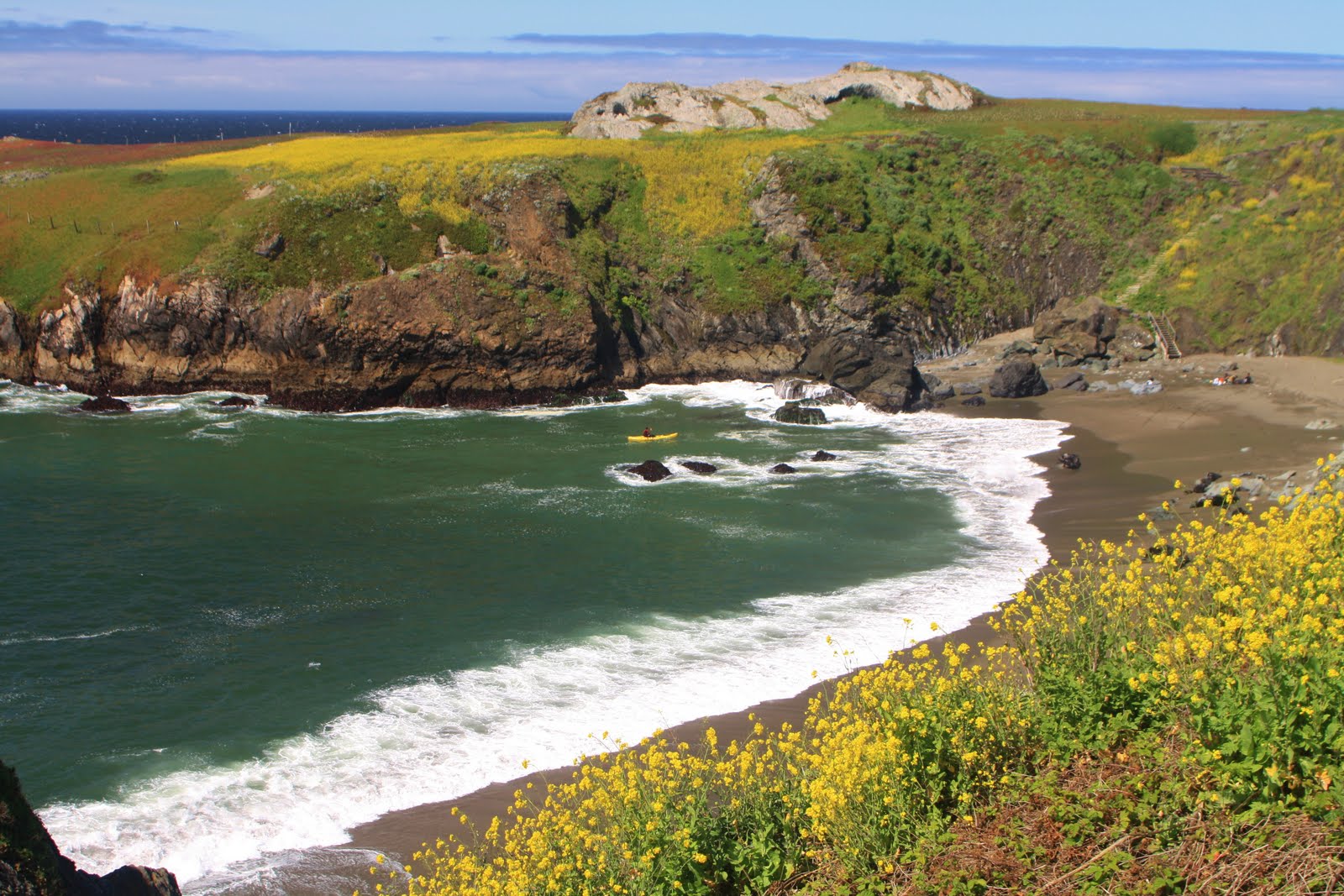 Francis Studios Bodega Bay