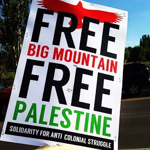 Free Big Mountain! Free Palestine!