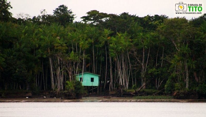 Casa e açaizeiros na ilha de Paquetá-Açu, em Belém - Pará. Por Tito Garcez Casa e açaizeiros na ilha de Paquetá-Açu, em Belém - Pará