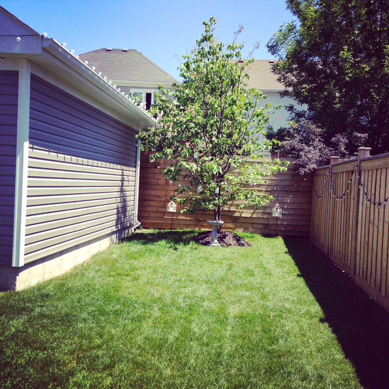 White Wood thinking outside the box with outdoor deck placement