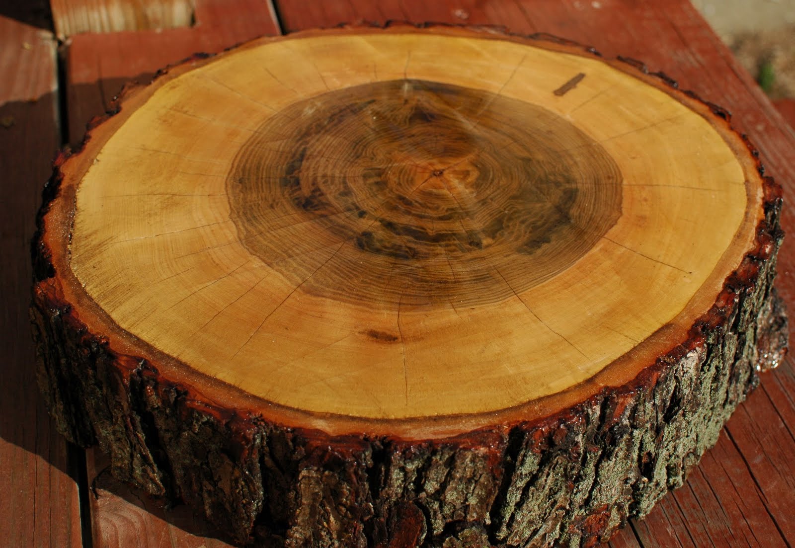 Tree Stump Cake Stand Tree Stump Cake Stand