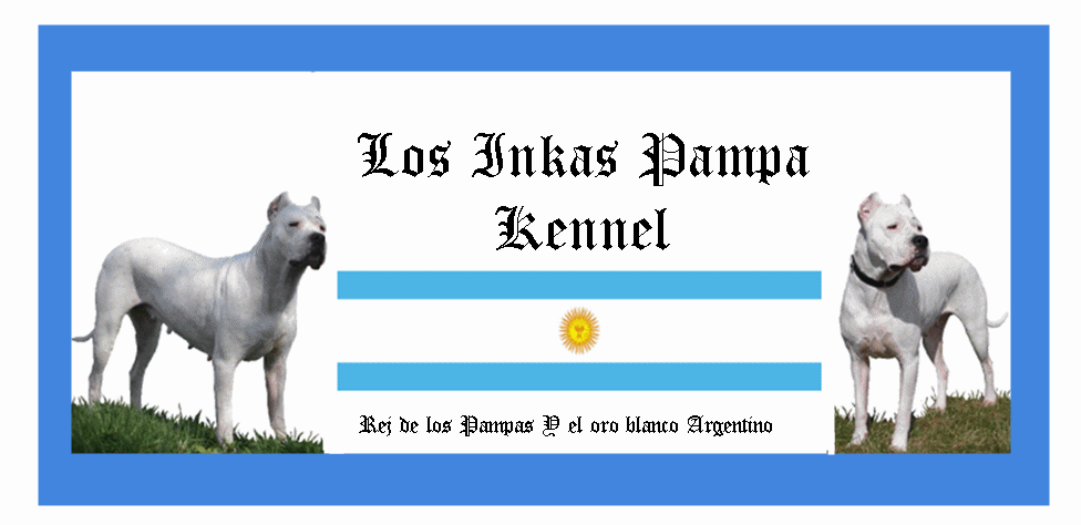 Los Inkas Pampa Kennel