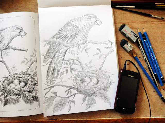 Art Li and Stuff - Pencil drawing of The bird and its nest. Art Li and Stuff - Pencil drawing of The bird and its nest.