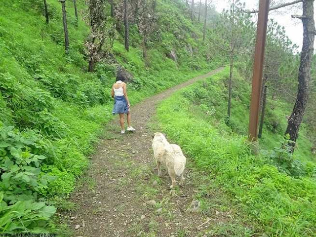 At Kasauli Gilbert Trail