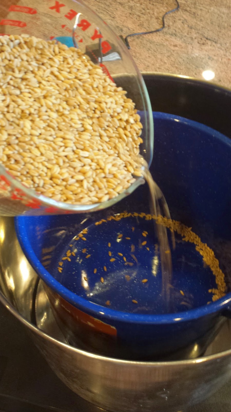 PREPARE TODAY How To Make Ice Cream Out Of Wheat