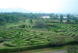 Labirin Wisata Cipanas