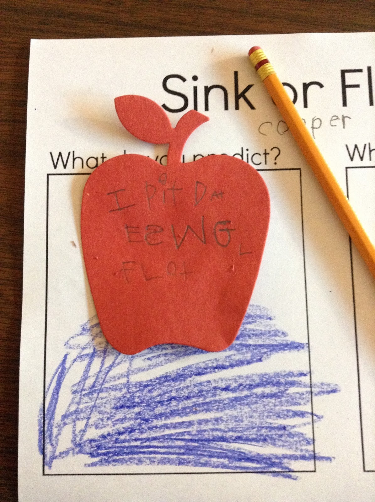 Do Apples Float or Sink? Fort Kindergarten
