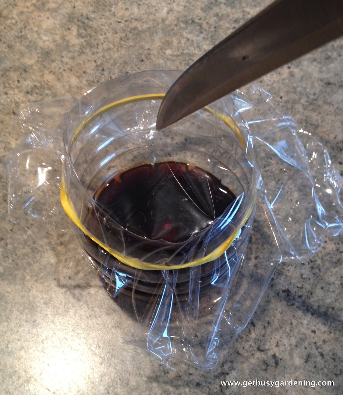 Super Easy DIY Fruit Fly Trap