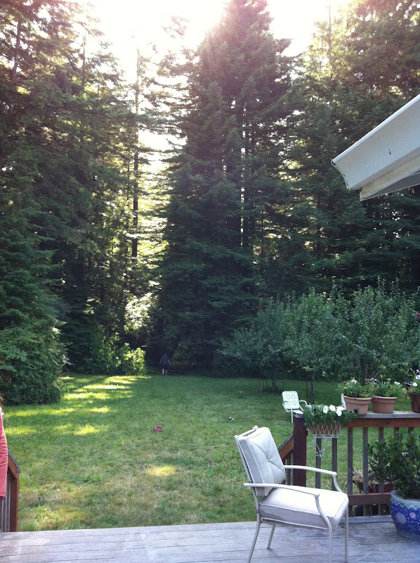 Behind The Redwood Curtain Ii Northern California Style