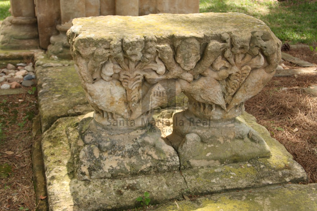 Aves entre follaje que emerge de máscaras monstruosas.