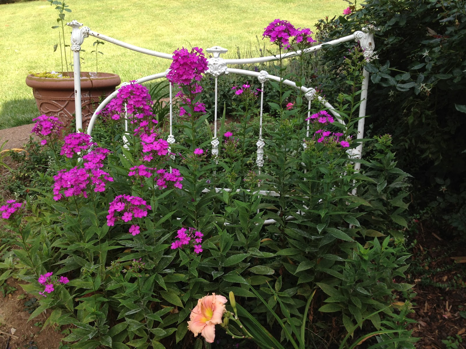 Eccentric Little Beauties Garden Iron Headboard