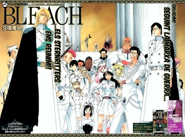 Seireitei no Fansub. Bleach 640 03