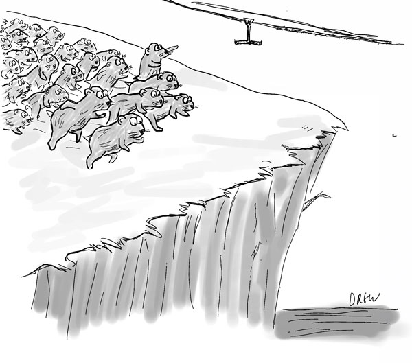 Lemmings Jumping Off Cliffs En Masse Is a Myth