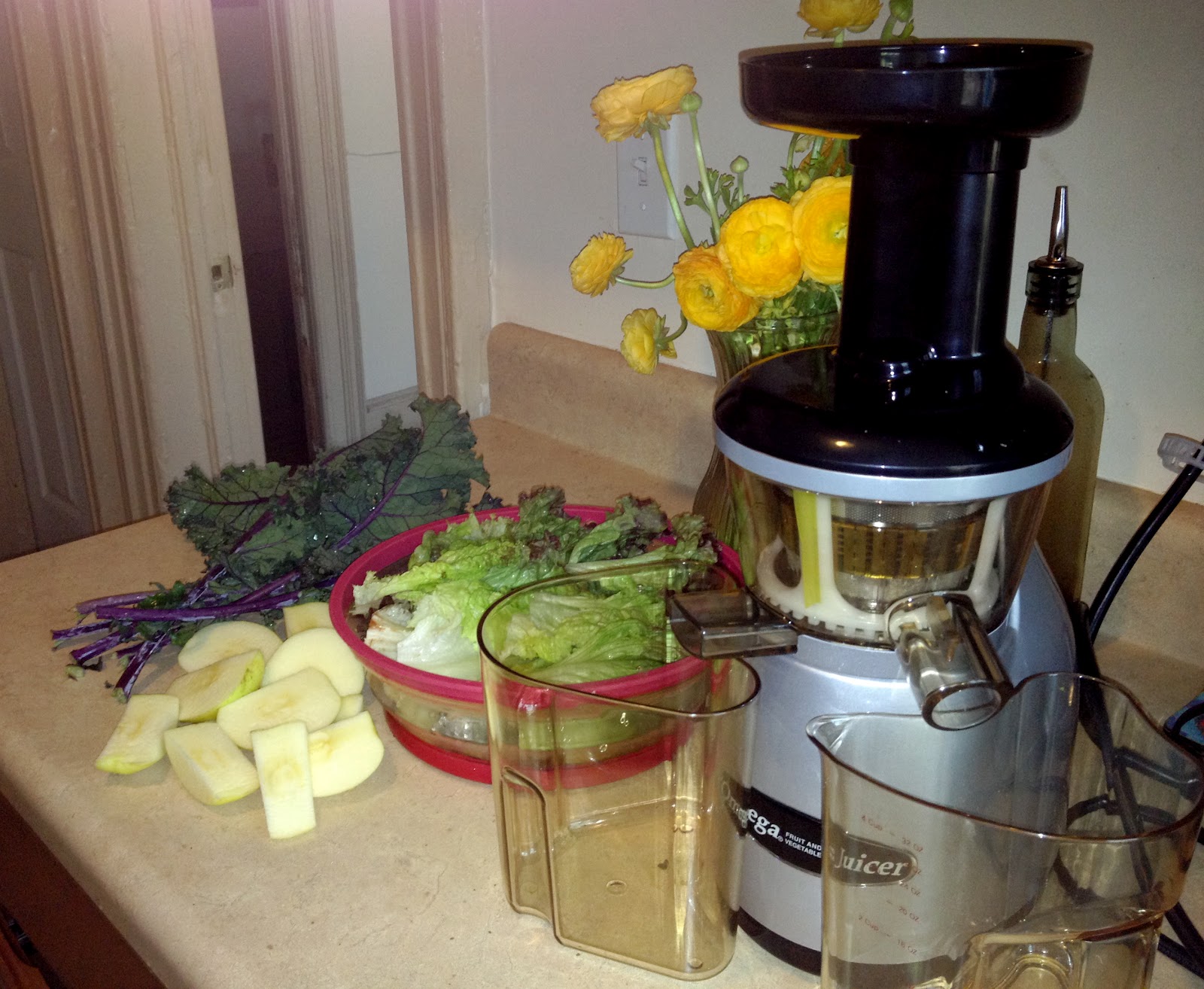 Look To Beauty Omega VRT350 Juicer over Breville, lettuce over carrots