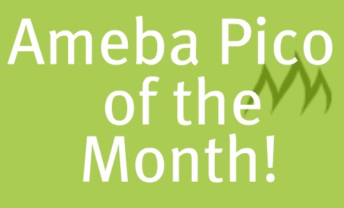 Ameba Pico of the Month