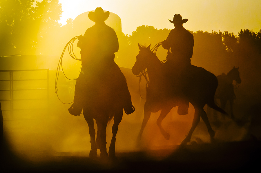 Dakotagraph Some quick rodeo photography tips