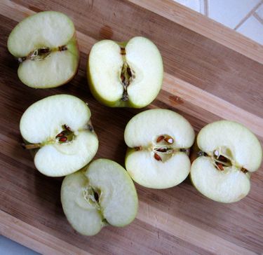 Norwegian Apple Cake Chopped Apples Pie Pan Norwegian Apple Cake Chopped Apples Pie Pan