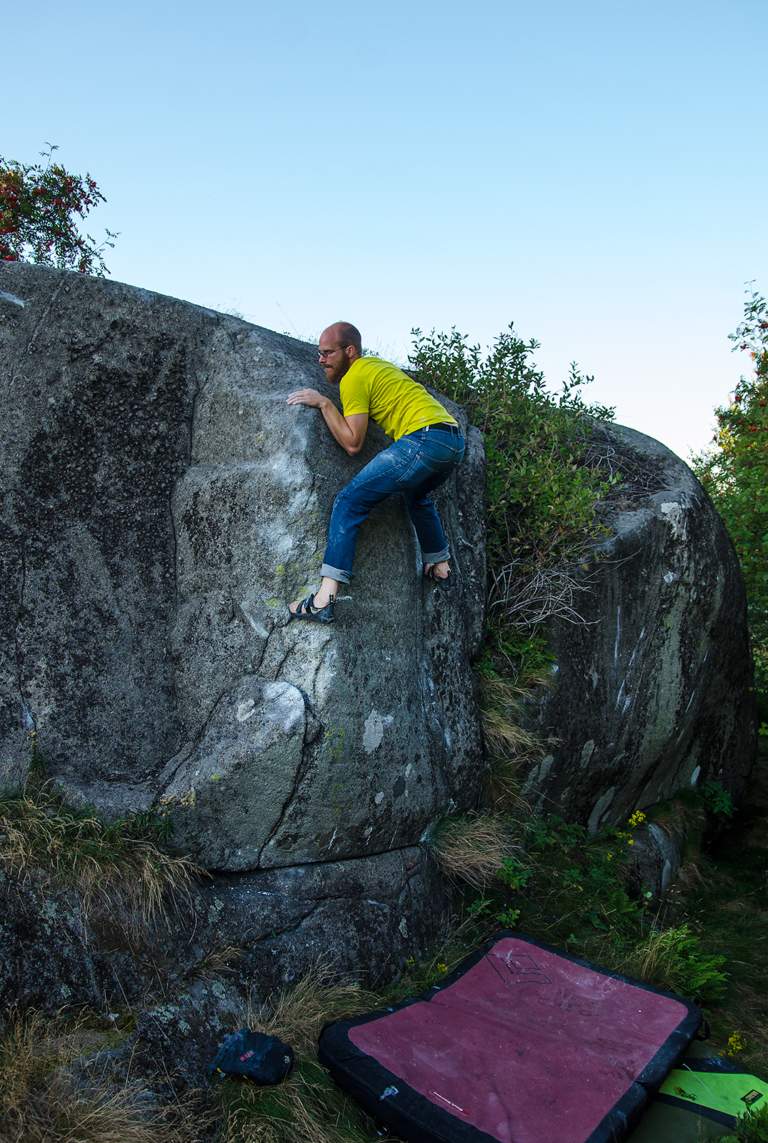 West coast bouldering En flapper och mängder med attackerande myror