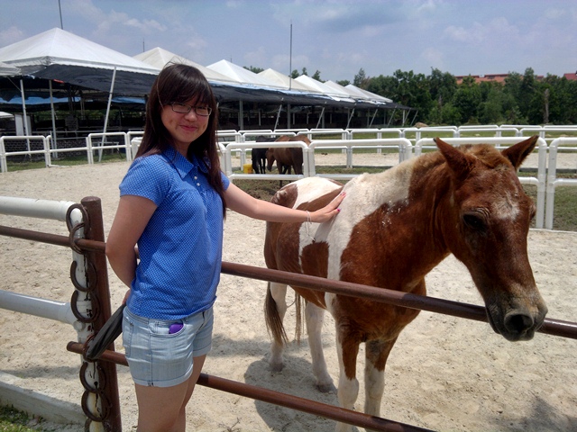 Denai alam horse riding