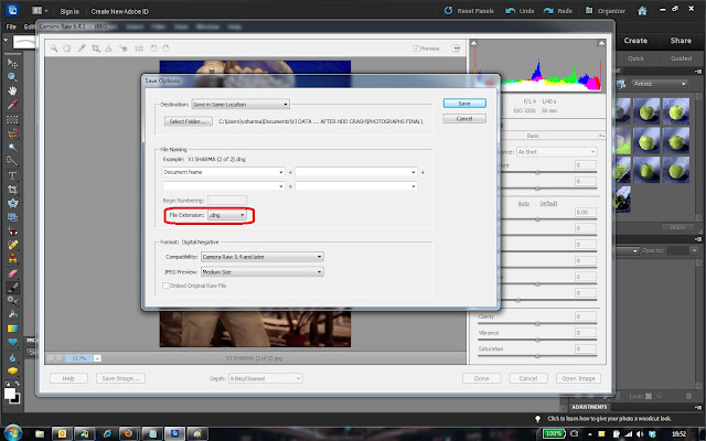 dng to jpg photoshop elements
