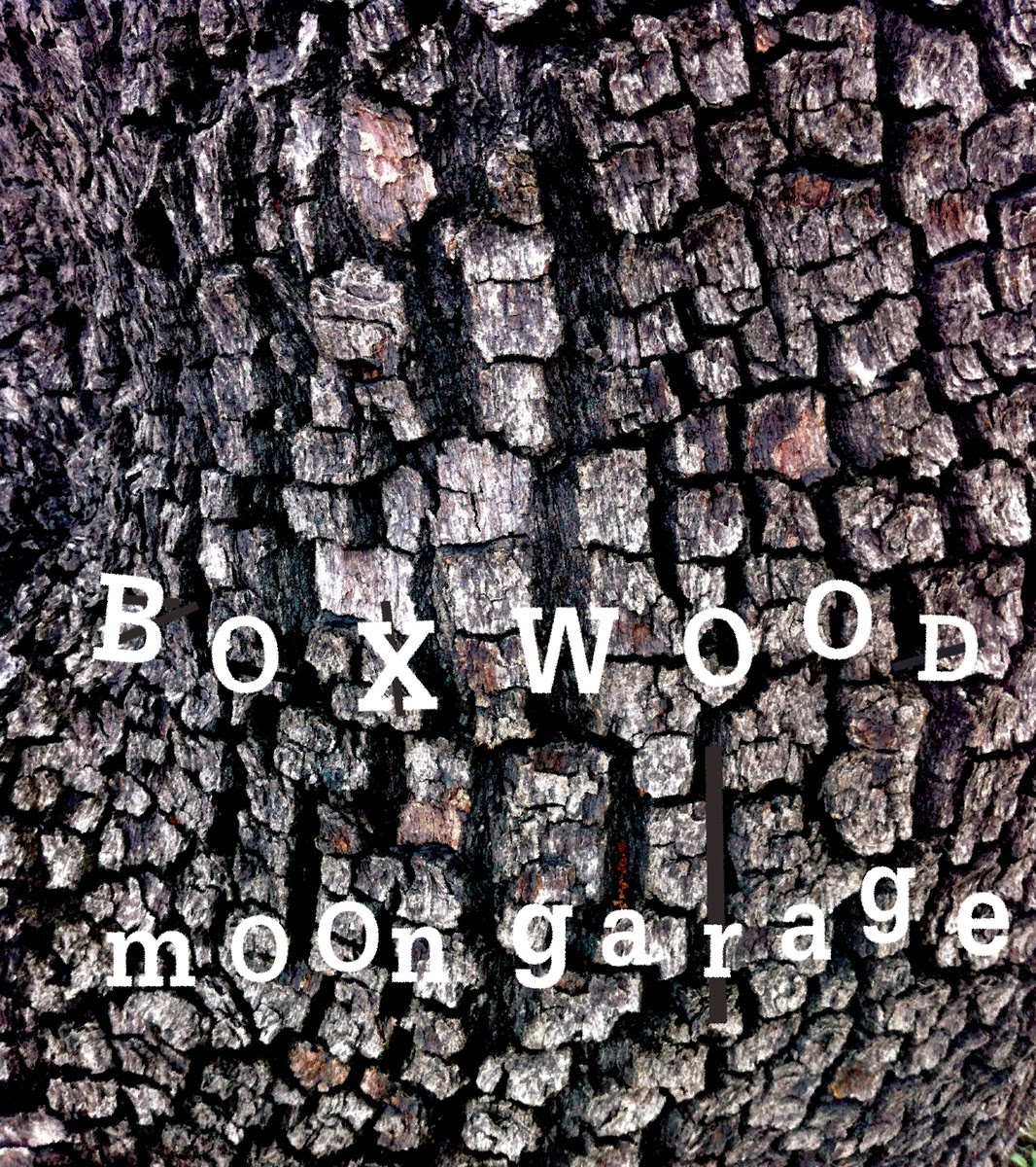Off the Radar :::: Boxwood :: Moon Garage