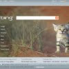 Bing Search