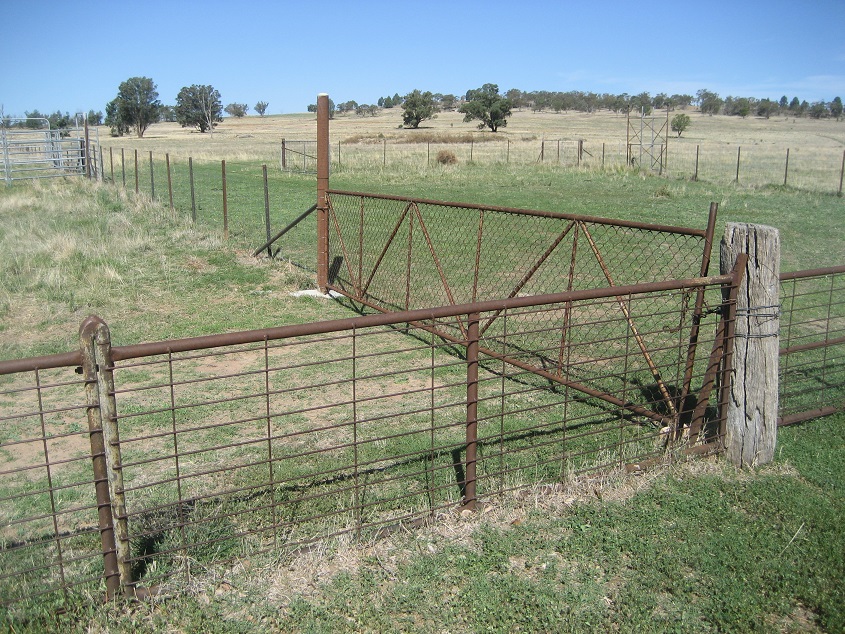 Ochre Archives New Cattle Yards Now Functional