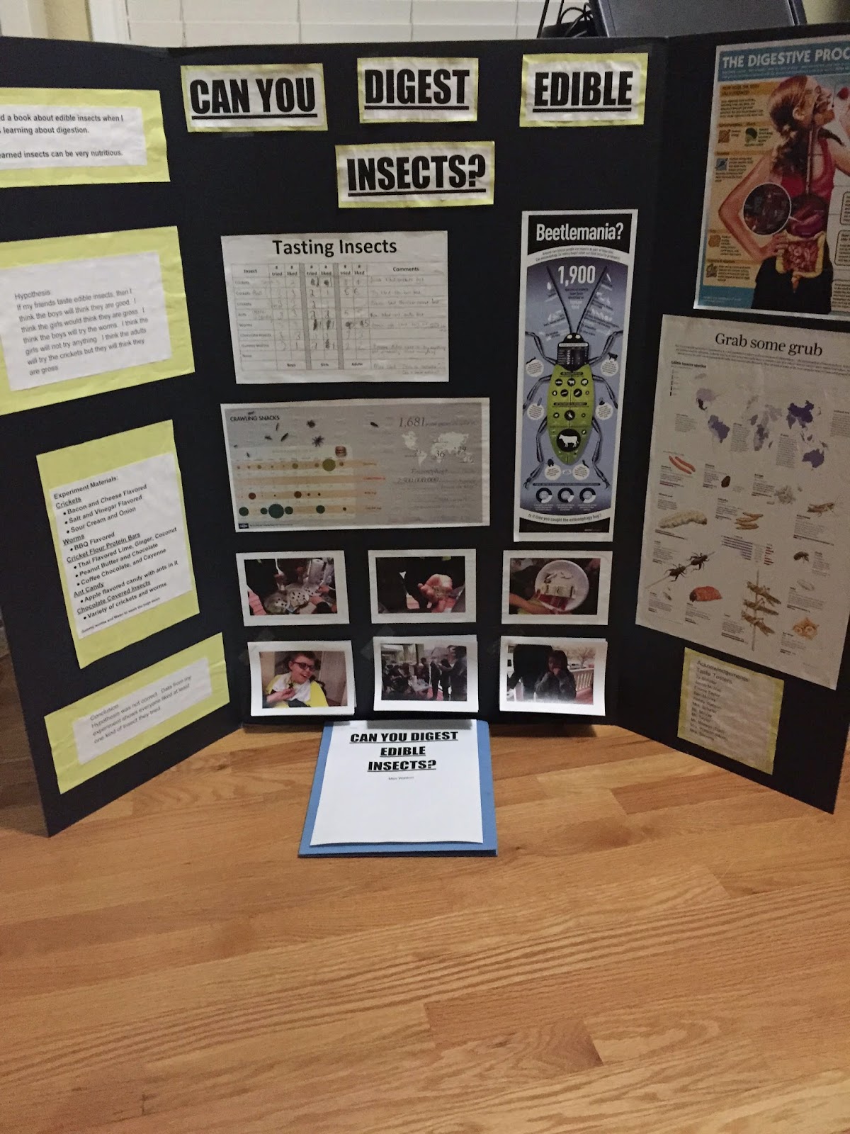 Buy insects for science project
