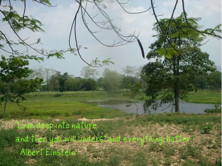 Look deep into nature - quote quotes about quotes. Look deep into nature - quote