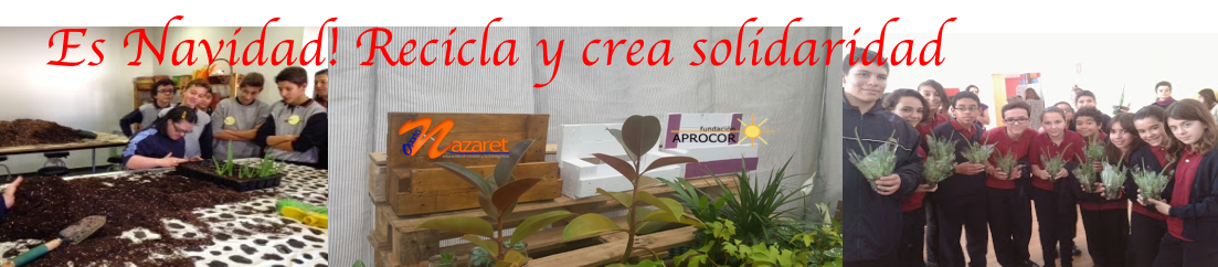 Es Navidad, recicla y  crea solidaridad 