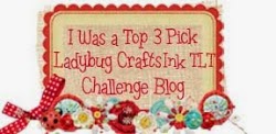 Ladybug Crafts Ink: Top Honors