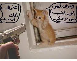 صورمضحكة صورمضحكة