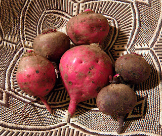 Basket of Red and Rose Beets