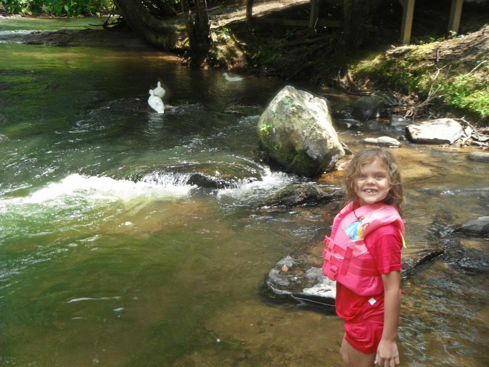 From BalancingMama WW Weekend tubing in Ellijay, GA