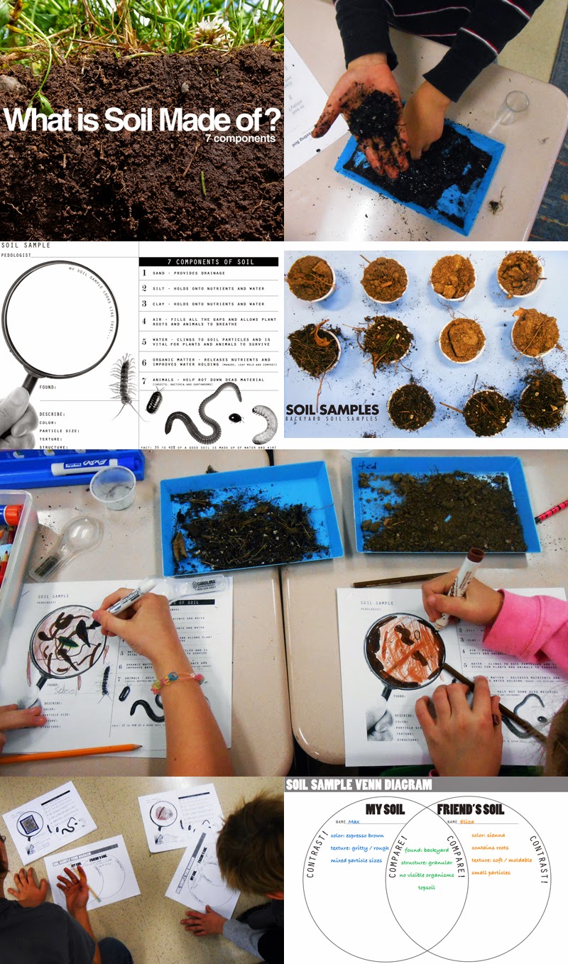E is for Explore! Backyard Soil Samples