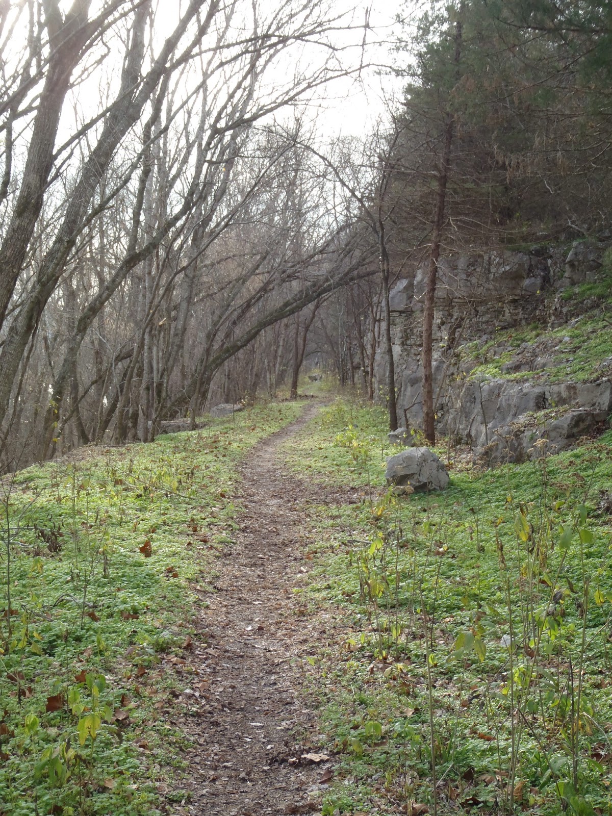 Buffalo River Gilbert Railroad Trail Trails of Arkansas (& now