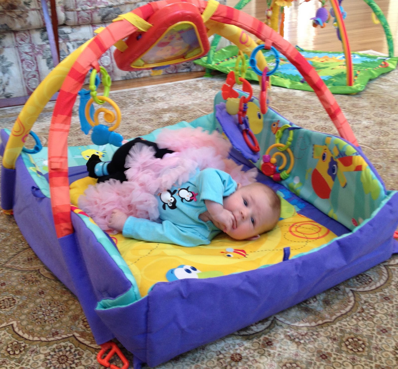 4 Play Gyms FisherPrice Discover 'N Grow Kick and Play Piano Gym