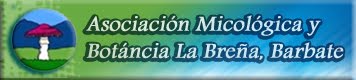 ASOCIACIÓN MICOLÓGICA Y BOTÁNICA LA BREÑA BARBATE