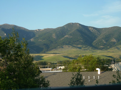 out the window