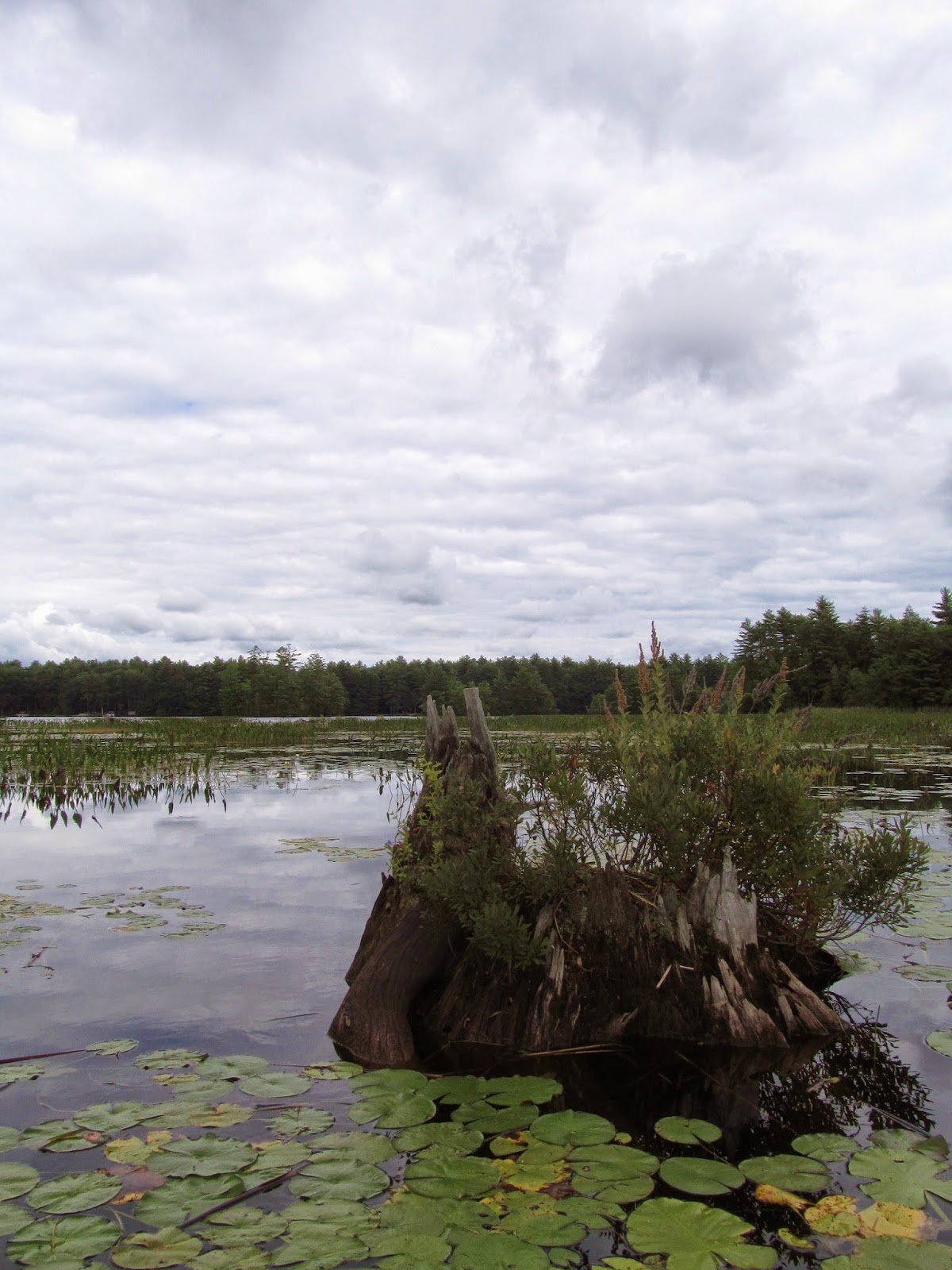 Recreational Kayaking in Maine Lake Arrowhead Limerick/Waterboro, ME