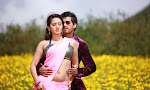 Appudala Ippudila movie photos gallery-thumbnail