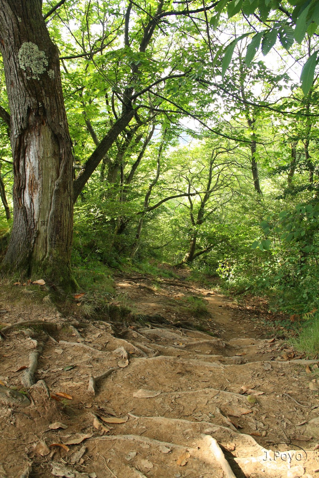 El desfiladero de Las Xanas Viajes y Rutas