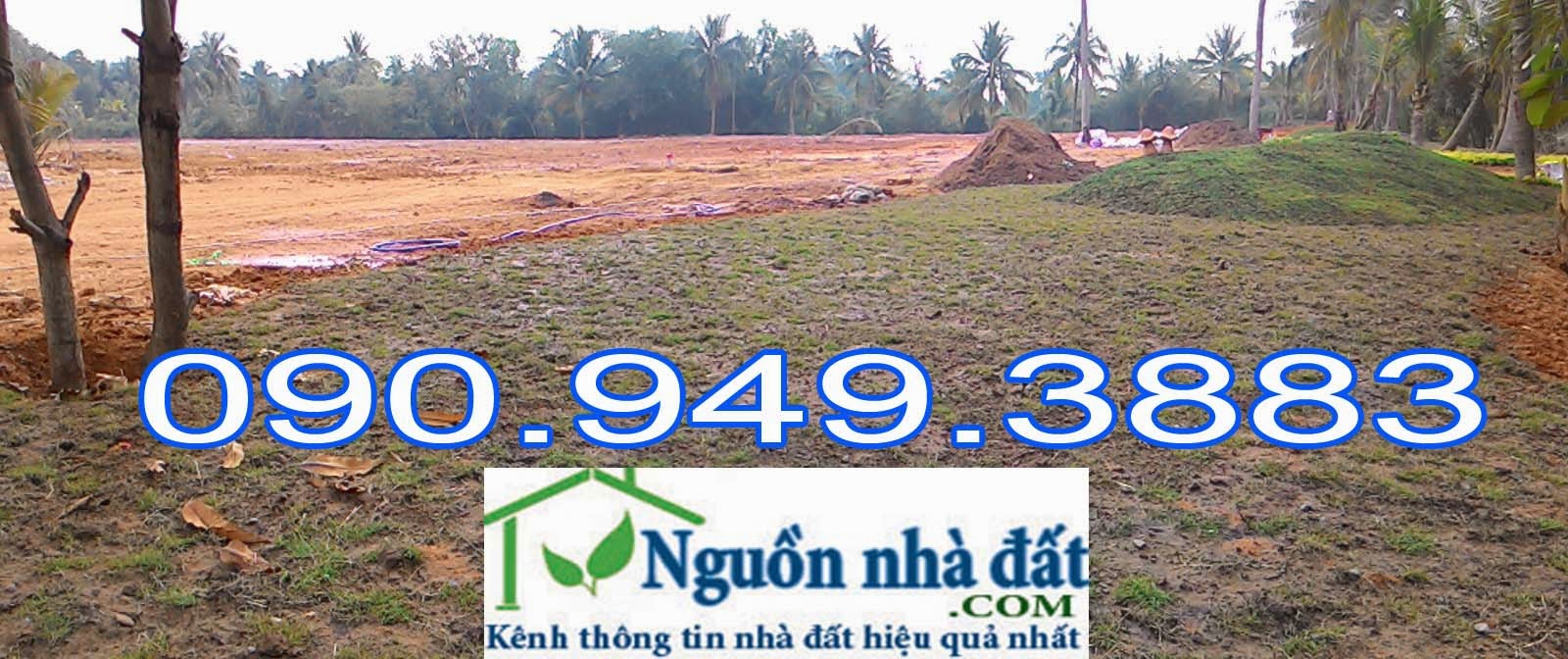 Tổng hợp nhà đất Sài Gòn giá tốt nhất thị trường - 3