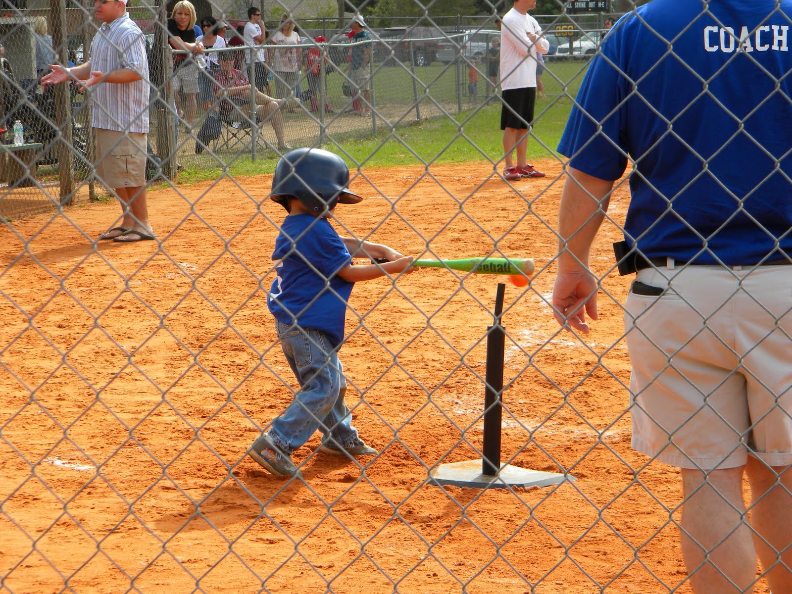 Walk2Write in Florida A to Z Blogging Challenge W is for Wee Ball