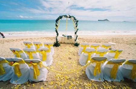 The simple answer is that marriage does not need a beach wedding decorations