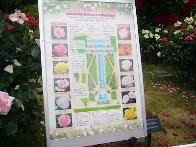 兵庫県・須磨離宮公園 王侯貴族のバラ園ガイドマップ